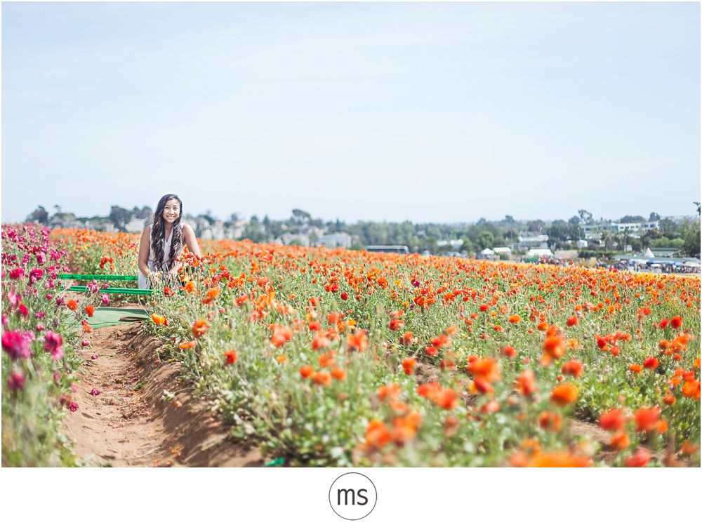 Carlsbad Flower Field by Margarette Sia Photography_0007