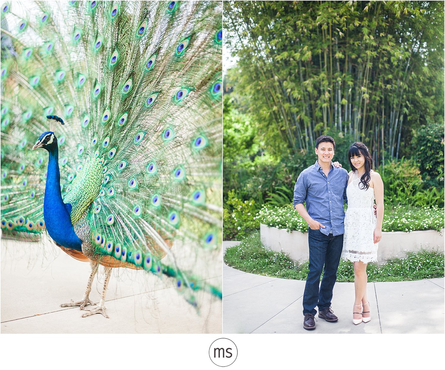 Jen & Eric Arcadia Arboretum Engagement Portraits - Margarette Sia Photography_0027
