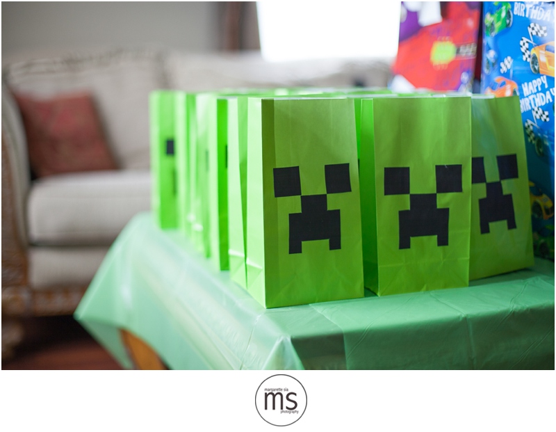 Minecraft Birthday Party_0004
